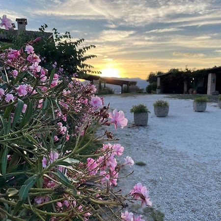 سان سيفيرينو ماركي Agriturismo Villa Rosetta المظهر الخارجي الصورة