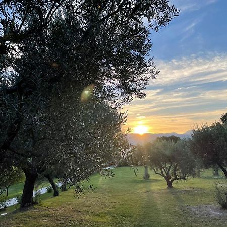 سان سيفيرينو ماركي Agriturismo Villa Rosetta المظهر الخارجي الصورة