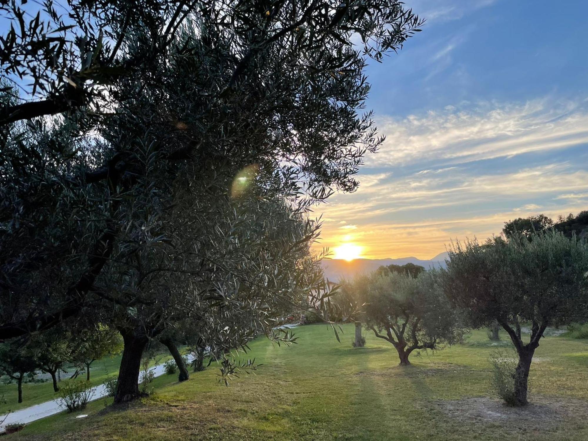 سان سيفيرينو ماركي Agriturismo Villa Rosetta المظهر الخارجي الصورة