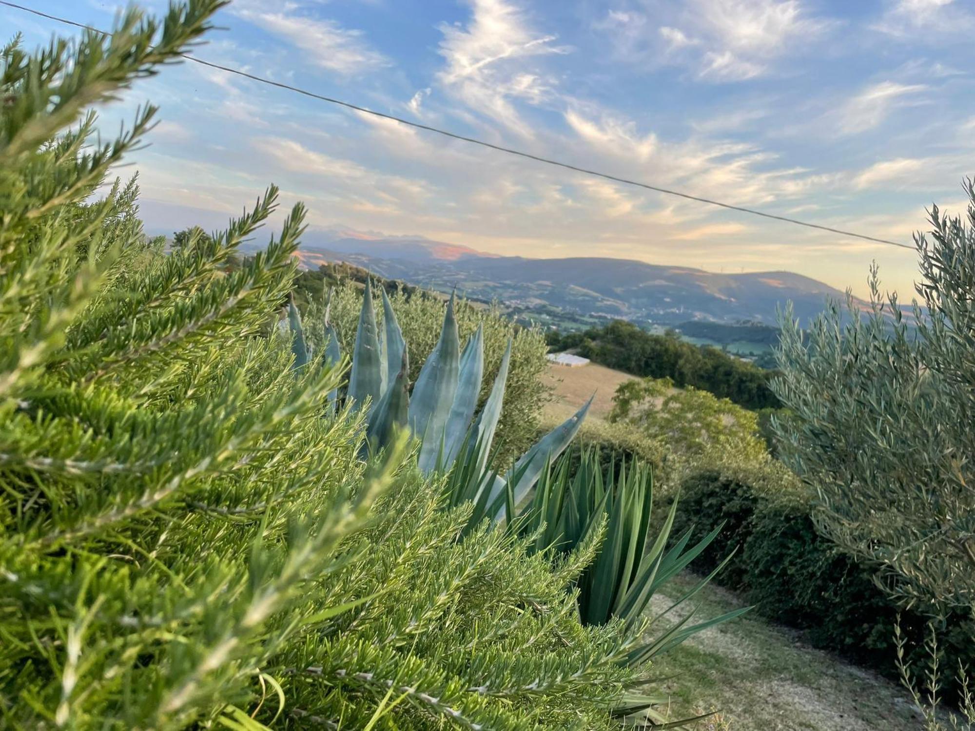 سان سيفيرينو ماركي Agriturismo Villa Rosetta المظهر الخارجي الصورة