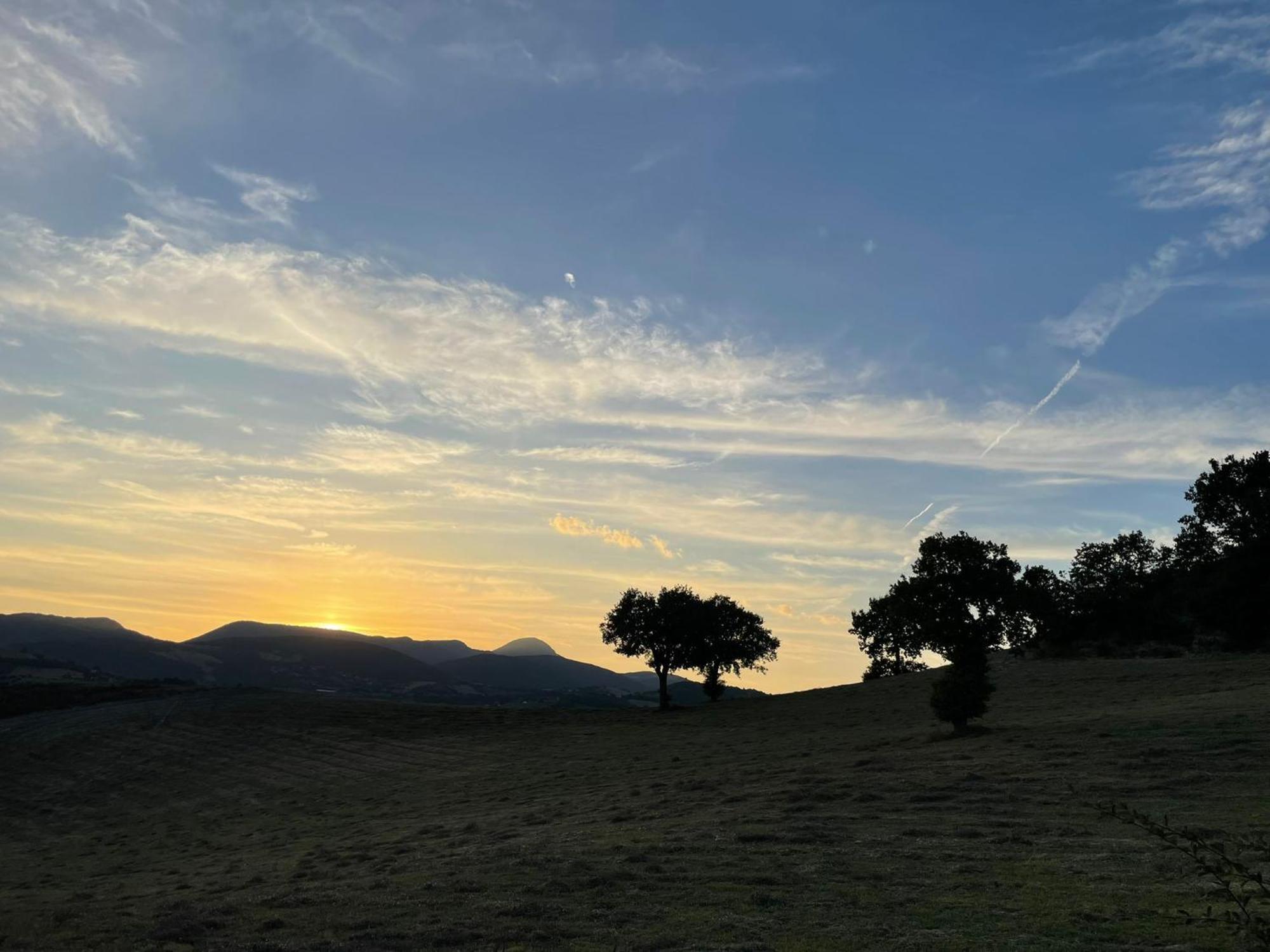 سان سيفيرينو ماركي Agriturismo Villa Rosetta المظهر الخارجي الصورة