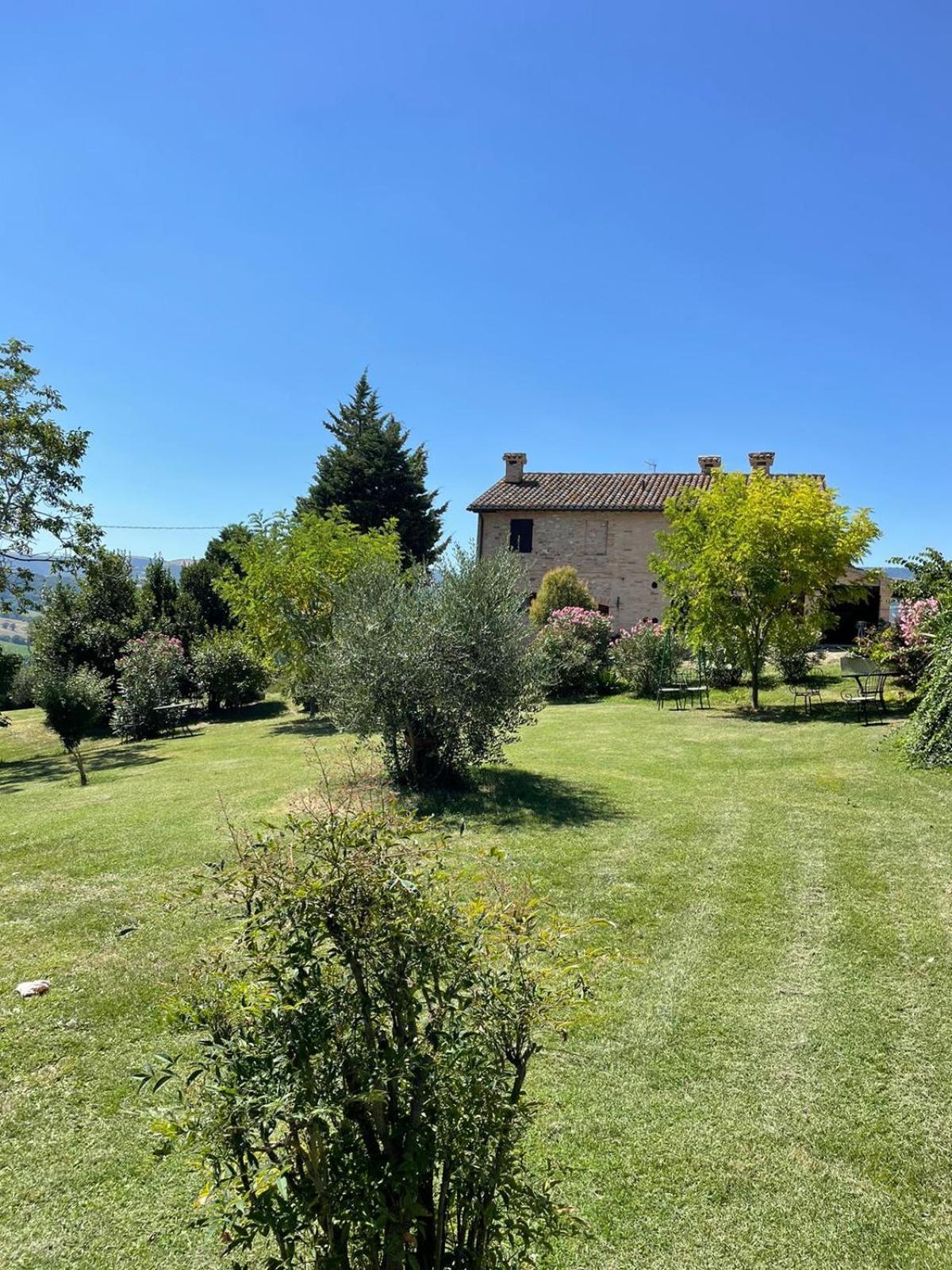 سان سيفيرينو ماركي Agriturismo Villa Rosetta المظهر الخارجي الصورة