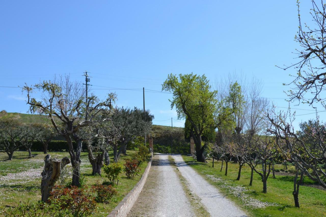 سان سيفيرينو ماركي Agriturismo Villa Rosetta المظهر الخارجي الصورة