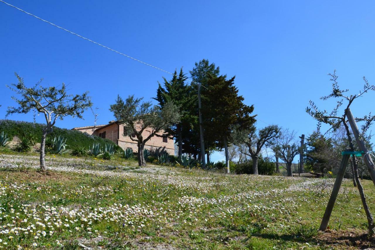 سان سيفيرينو ماركي Agriturismo Villa Rosetta المظهر الخارجي الصورة