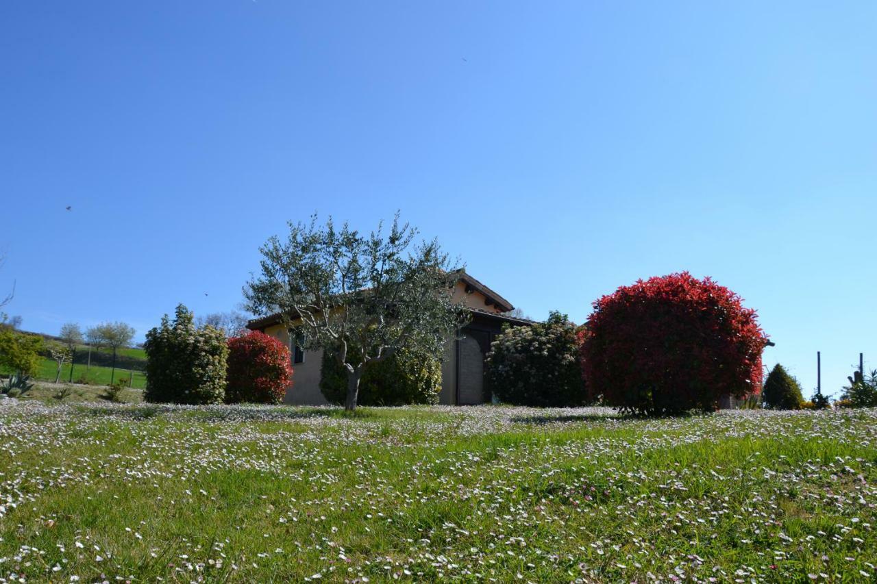 سان سيفيرينو ماركي Agriturismo Villa Rosetta المظهر الخارجي الصورة