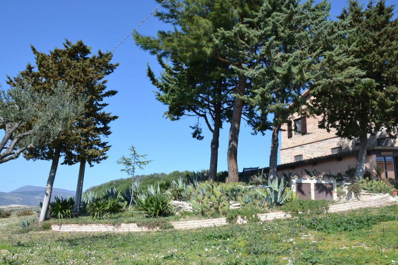 سان سيفيرينو ماركي Agriturismo Villa Rosetta المظهر الخارجي الصورة